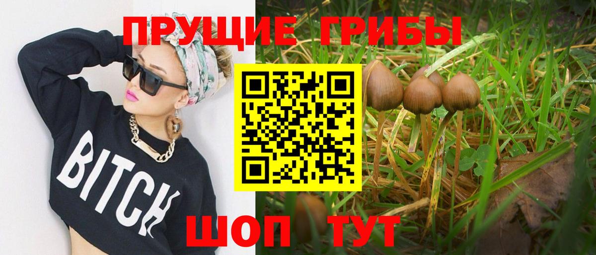 как найти закладки  Вход с VPN  Луховицы  Псилоцибиновые грибы ЛСД 